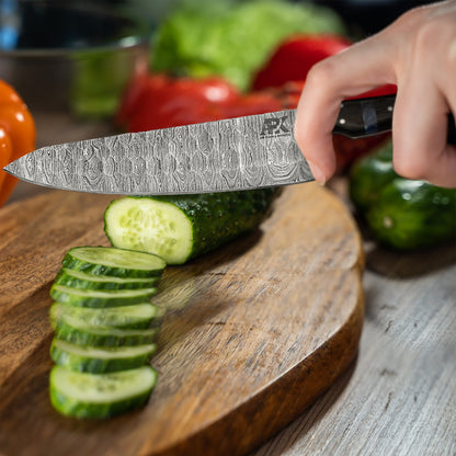 Premium Damascus Chef Knife Set – 5-Piece Professional Kitchen Collection